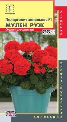 Пеларгония Герань Мулен Руж 3 шт +