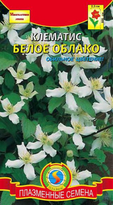 Клематис Белое облако*