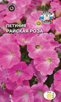 Петуния Райская роза компактн.