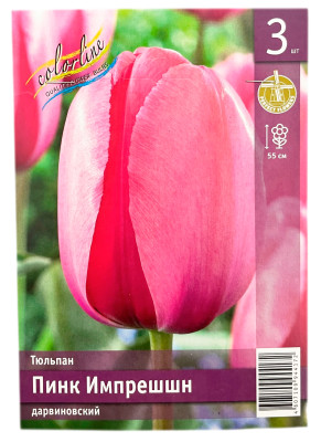 Тюльпан ПИНК ИМПРЕШШН дарвиновский