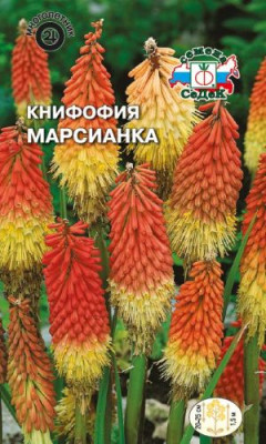 Книфофия Марсианка ягодная