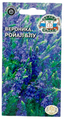 Вероника большая РОЙАЛ БЛУ СеДеК