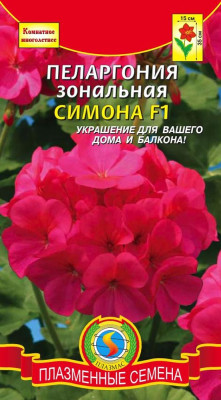 Пеларгония Герань Симона бордовая