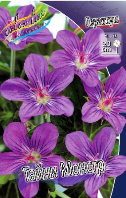 Гераниум Тайни Монстр (1шт)