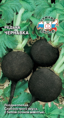редька Чернавка