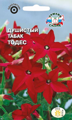 Табак Душистый Тодес красный