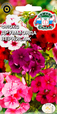 Флокс Друммонда Вернисаж (смесь)