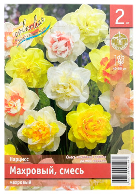 Нарцисс МАХРОВЫЙ, СМЕСЬ