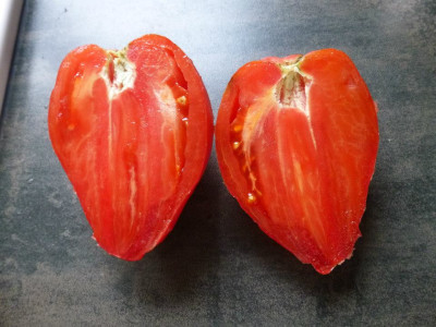 Томат Рабочий выпуск пасты