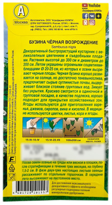Бузина ЧЁРНАЯ ВОЗРОЖДЕНИЕ АЭЛИТА описание