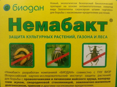 Немабакт от проволочника, хруща (личинок майского жука), колорадского жука