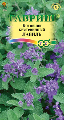 Котовник кистевидный Лавиль 0,03г