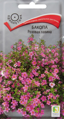 Бакопа Розовая лавина 5шт