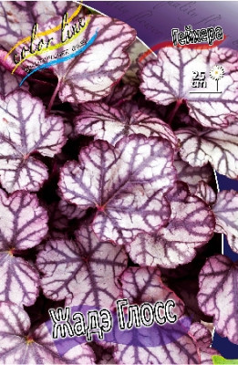 Гейхера Жадэ Глосс (1шт) 4079