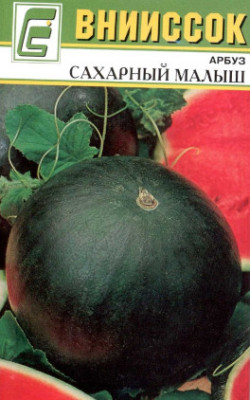 Арбуз Сахарный Малыш 10шт Внииссок
