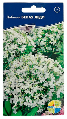 Лобелия Белая леди АКВАРЕЛЬ