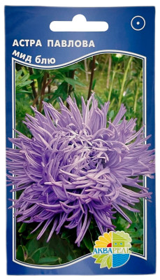 Астра ПАВЛОВА мид блю АКВАРЕЛЬ