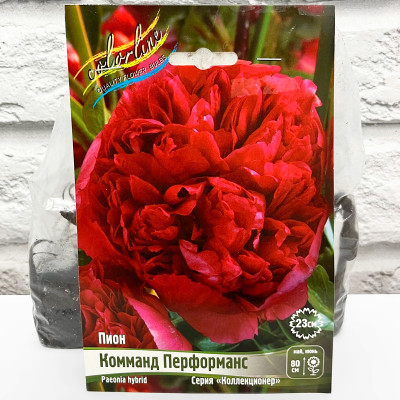 Пион КОММАНД ПЕРФОРМАНС