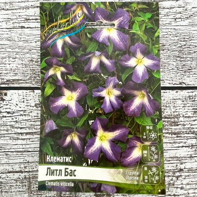 Клематис ЛИТЛ БАС (3 группа обрезки)