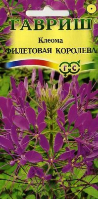 Клеома Фиолетовая королева 0,3 г