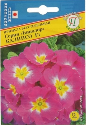 Примула Биколор Калипсо 5 шт Япония