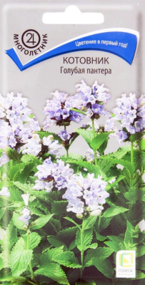 Котовник Голубая пантера 10шт