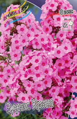 Флокс Эденс Краш (2шт) 4258