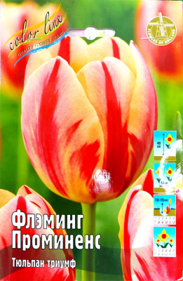 Тюльпан Флэминг Проминенс (1шт)