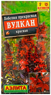 Лобелия прекрасная ВУЛКАН КРАСНАЯ АЭЛИТА