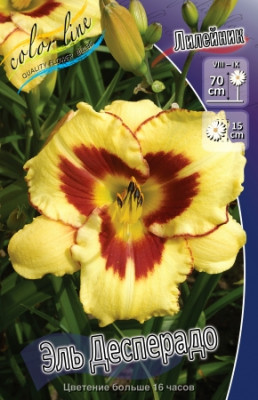 Лилейник Эль Десперадо (1шт) 2293