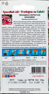 Гвоздика перистая Краковяк