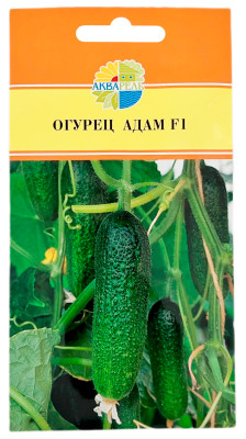 Огурец Адам F1 АКВАРЕЛЬ