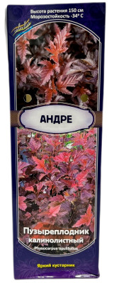 Пузыреплодник Андре