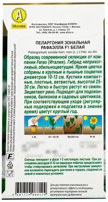 Пеларгония зональная РАФАЭЛЛА F1 БЕЛАЯ АЭЛИТА описание
