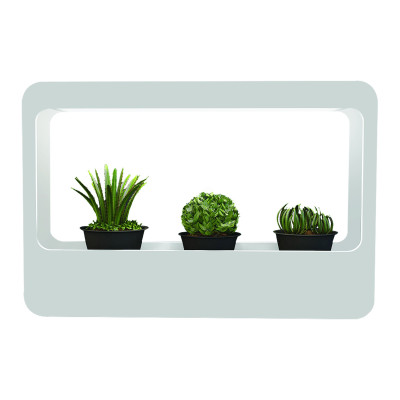 Набор Минисад Подставка пластик для фотосинтеза с высоким цветопередачей