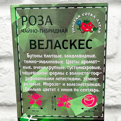 Роза чайно-гибридная ВЕЛАСКЕС описание