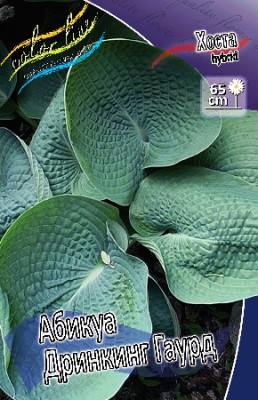 Хоста Абикуа Дринкинг Гаурд (2шт)