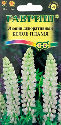 Люпин декоративный Белое пламя ГАВРИШ