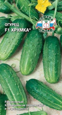 Огурец Хрумка