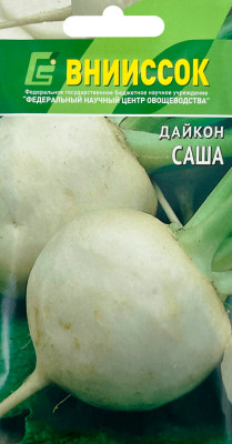 Дайкон Саша 1г Внииссок