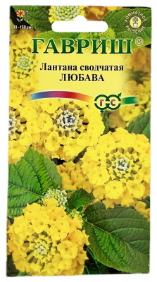 Лантана сводчатая камара ЛЮБАВА ГАВРИШ
