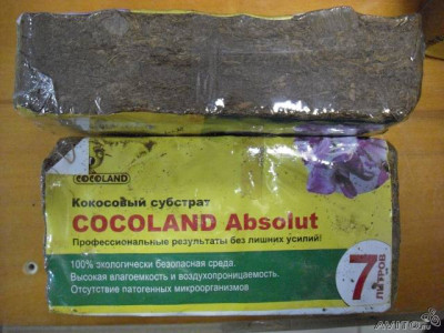 Кокосовый субстрат брикет 7л Cocoland Adsolut