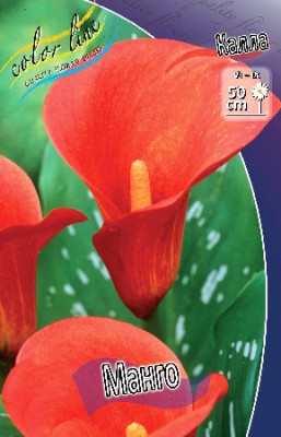 Калла Манго (2шт)