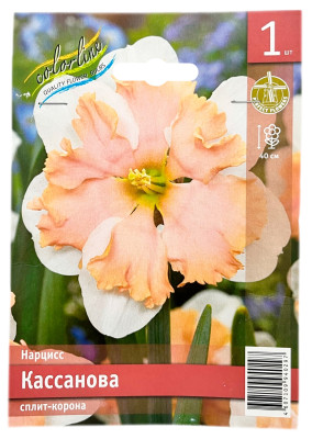 Нарцисс КАССАНОВА сплит-корона