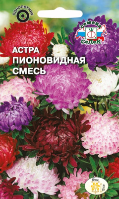 Астра Пионовидная (смесь)
