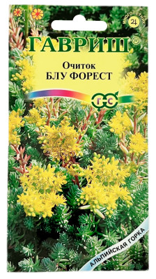 Очиток седум БЛУ ФОРЕСТ ГАВРИШ