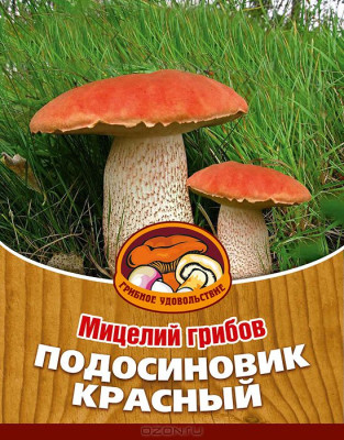 Грибы Подосиновик