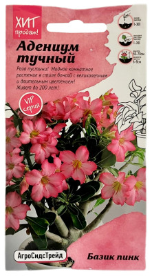 Адениум тучный БАЗИК ПИНК АГРОСИДСТРЕЙД