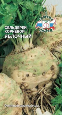 Сельдерей Яблочный