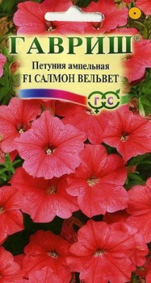 Петуния Салмон Вельвет (Сурфиния) амп. 5 шт.  пробирка Петуния Салмон Вельвет (Сурфиния) амп. 5 шт.  пробирка